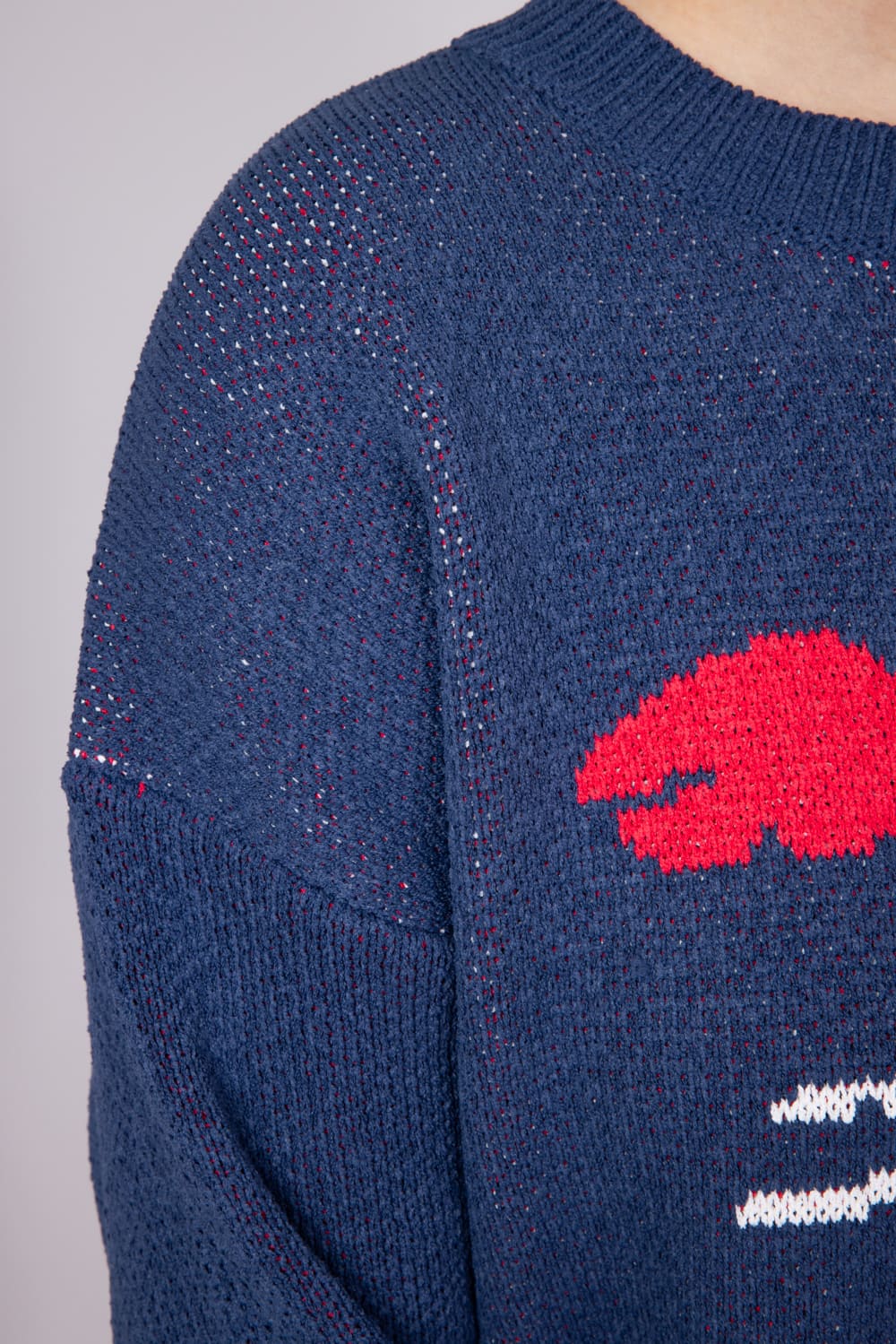 Bailey Rose Lobster Knit Sweater for Women in Navy