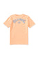 Billabong Youth Throwback T-Shirt for Boys in Peach | BSSIA35F-832