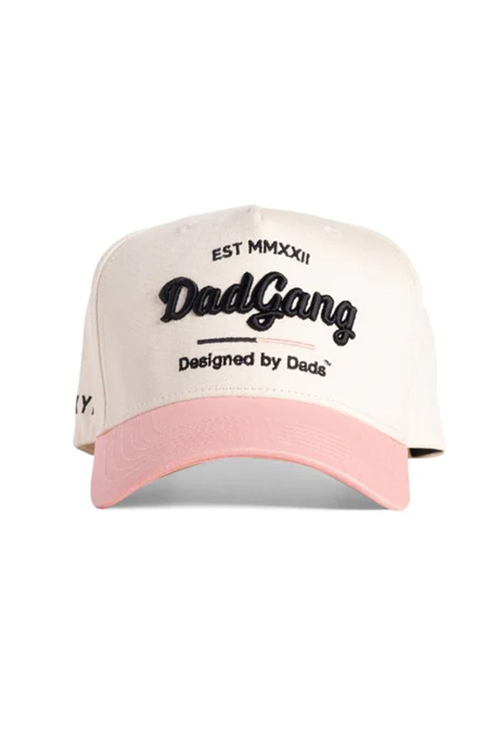 Dad Gang Horsepower Hat for Men in Pink