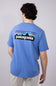 Patagonia Men’s P-6 Responsibili-Tee T-Shirt in Abundant Blue