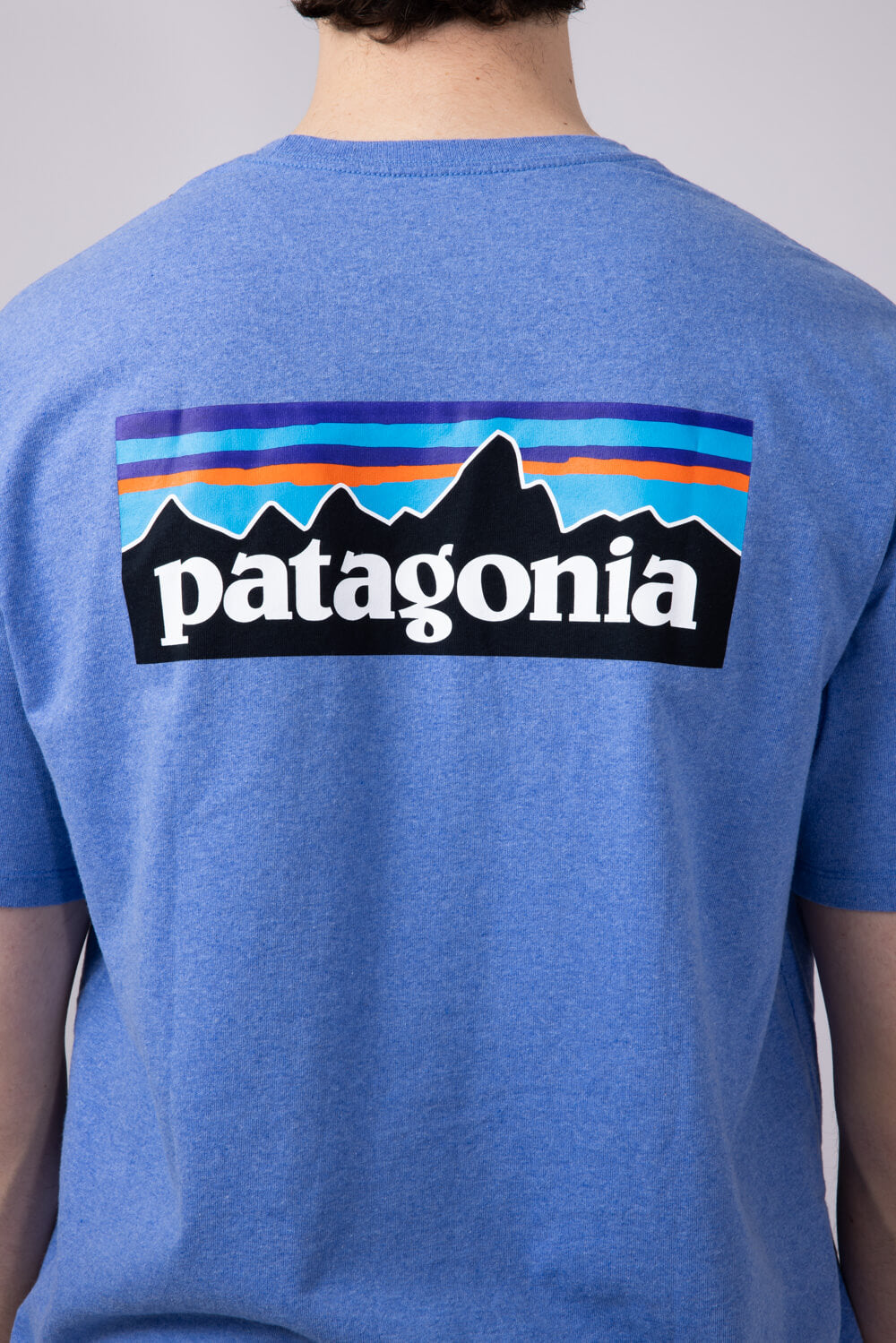Patagonia Men’s P-6 Responsibili-Tee T-Shirt in Abundant Blue