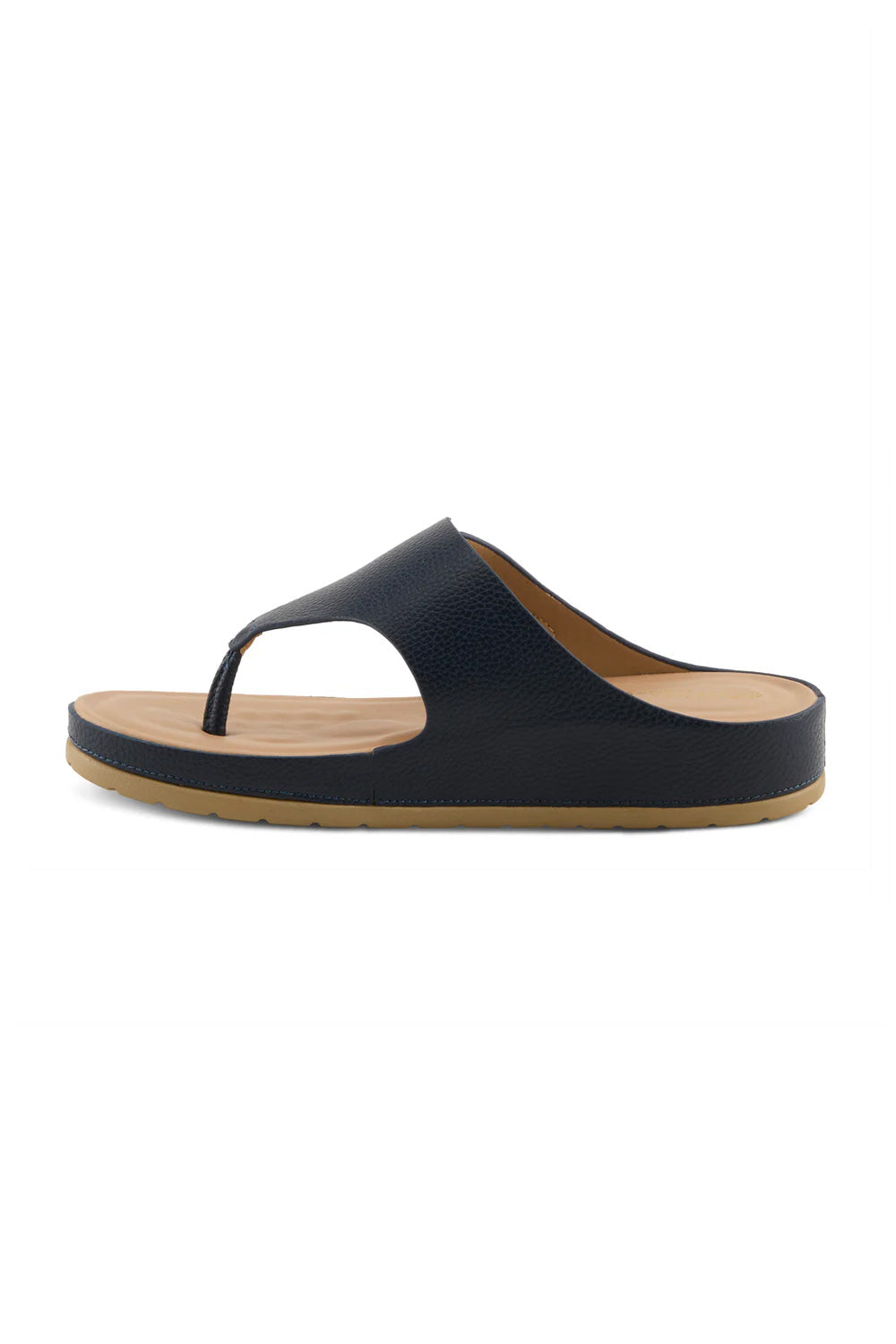 Patrizia Rozeta Thong Slide Sandals for Women in Black | ROZETA-BLACK