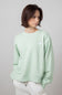 The North Face Evolution Fleece Sweatshirt for Women in Misty Sage